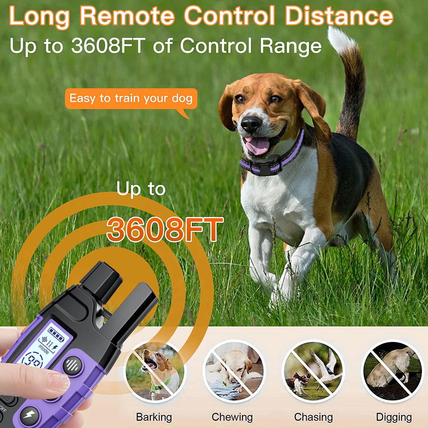 Remote Control Dog Training E-Collar